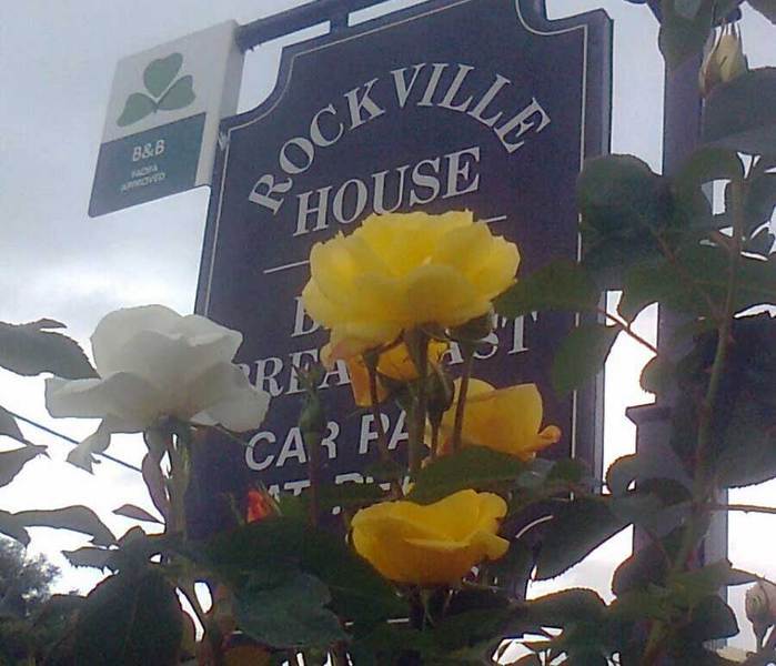 Rockville House B&B Cashel  Exterior foto